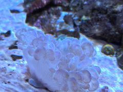 -鹿儿岛水族馆