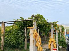 -大泽山风景名胜区