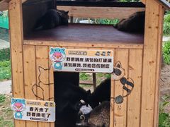 -杭州开元森泊度假乐园