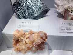 -湖南省地质博物馆