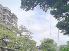-黄埔古港