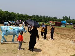 -武汉紫薇都市田园