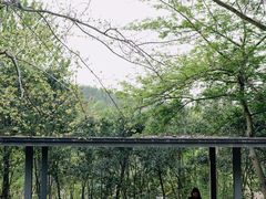 -西湖风景区-江洋畈生态公园