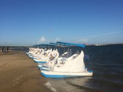 -碧海金沙