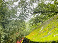 -潭柘寺景区