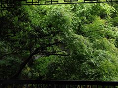 -杭州植物园
