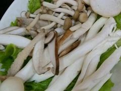 菌类拼盘-呷哺呷哺(哈尔滨红博购物广场店)