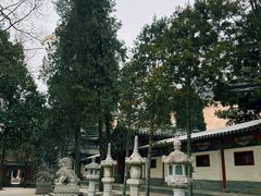-兴教寺