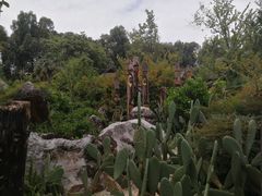 -云南民族村