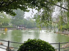 -莲湖公园