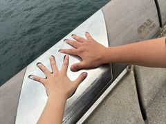 -星光大道