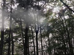 -洛阳白云山景区