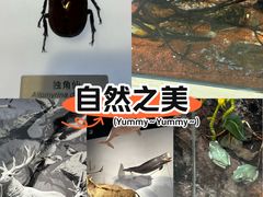 -中国湿地博物馆