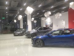-TESLA 特斯拉(深圳观澜特斯拉直营钣喷中心)