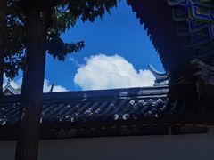 -蘑统田下·野生菌火锅