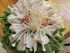 -大理老字号·舟渔的鱼野生菌海景餐厅(双廊店)