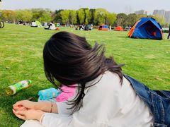 -昆山城市生态森林公园