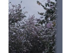 -华侨公园