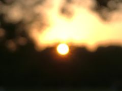 -吴淞炮台湾湿地森林公园烧烤区