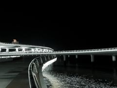 -演武大桥观景平台