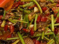 -小四川菜馆(托乐嘉店)