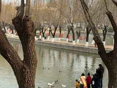 -中国农业博物馆