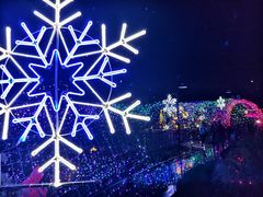 -Steveston Pizza Company (Richmond)