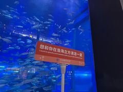 -成都浩海立方海洋公园