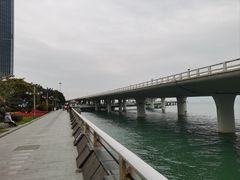 -演武大桥观景平台