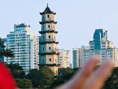 -江心屿景区