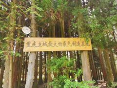 -武陵山森林公园