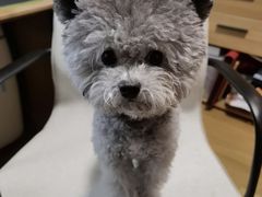 -1013 PET SHOP 宠物商店(近铁城市广场店)