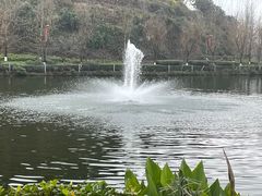 -重庆园博园