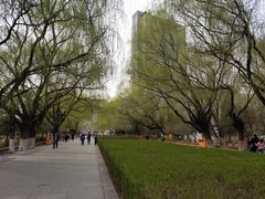 -青城公园
