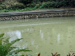 -荔湾湖公园