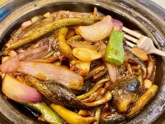 -上海精菜馆(虎踞关店)