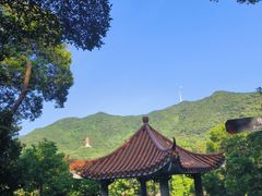 -深圳仙湖植物园