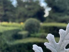 -长春公园(普阳街道)