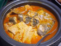 开河鲤鱼-九十九顶毡房(阜石路店)