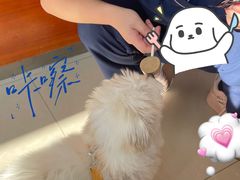 -艾贝尔宠物医院 ·内科全科(梁溪路店)