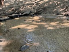 -白水寺森林公园