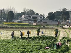 -两河城市森林公园