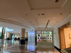 -圣爵菲斯大酒店(长沙世界之窗店)