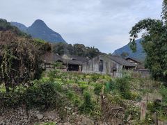 -九鲤溪瀑景区