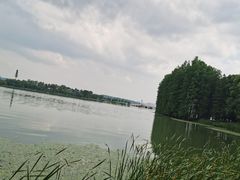 -东湖落雁景区