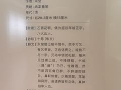 -八大山人梅湖景区