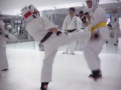 -极真空手道修远道场