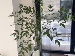 -乐凯撒披萨(领展广场店)