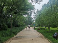 -元大都城垣遗址公园