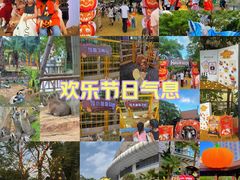 -灵玲国际马戏城